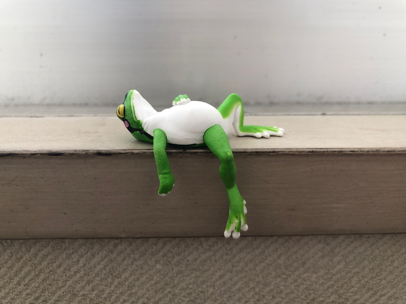 リアルカエルグッズ集めちゃう photo